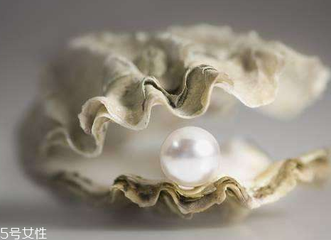 珍珠粉去黑頭要內(nèi)服嗎 內(nèi)服是錯誤示范 珍珠粉去黑頭要內(nèi)服嗎 內(nèi)服是錯誤示范