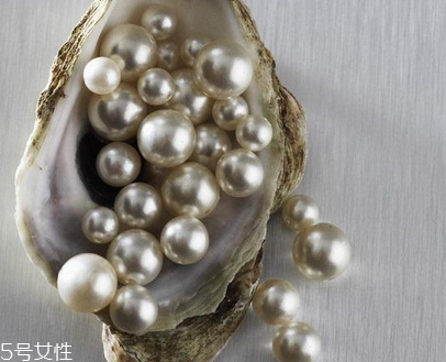 珍珠粉是什么 一種美容圣品 珍珠粉是什么 一種美容圣品
