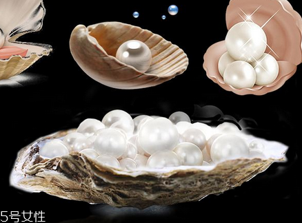 珍珠粉會過期嗎 需小心保存 珍珠粉會過期嗎 需小心保存