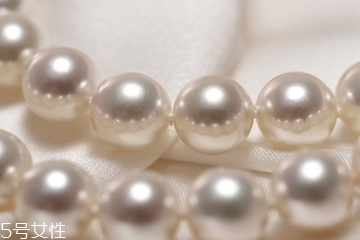 珍珠粉為什么那么便宜 可能你買到假的 珍珠粉為什么那么便宜 可能你買到假的