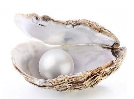 珍珠粉為什么那么便宜 可能你買到假的 珍珠粉為什么那么便宜 可能你買到假的