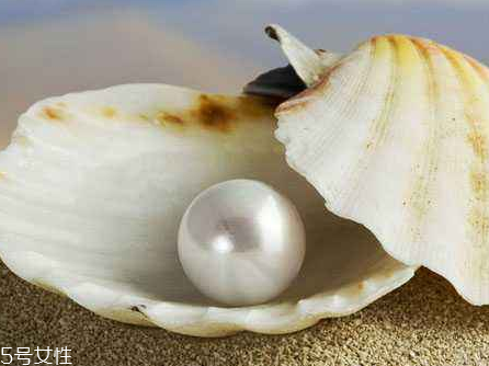 珍珠粉為什么那么便宜 可能你買到假的 珍珠粉為什么那么便宜 可能你買到假的