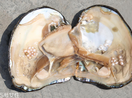 珍珠粉可以去眼袋嗎 去眼袋妙招 珍珠粉可以去眼袋嗎 去眼袋妙招