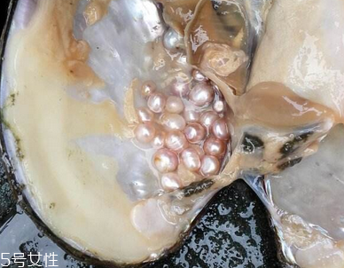 珍珠粉對(duì)皮膚有傷害嗎 選對(duì)產(chǎn)品很關(guān)鍵 珍珠粉對(duì)皮膚有傷害嗎 選對(duì)產(chǎn)品很關(guān)鍵