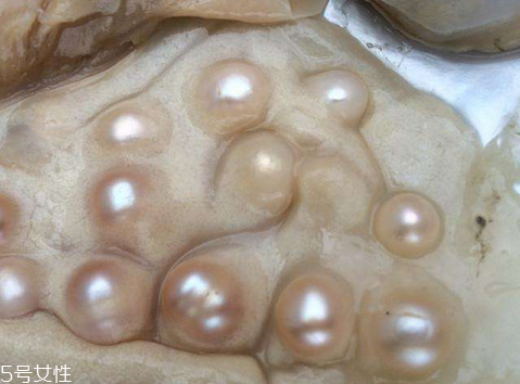 珍珠粉為什么調(diào)不粘稠 不粘稠這樣解決 珍珠粉為什么調(diào)不粘稠 不粘稠這樣解決