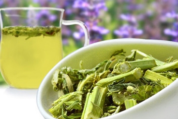 益母草是涼性還是熱性 益母草屬?zèng)鲂? alt=