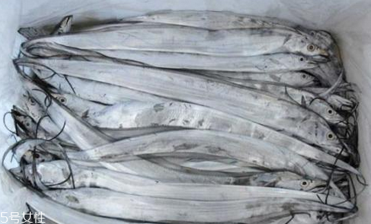 帶魚會(huì)胖嗎 屬于脂肪高的魚類 帶魚會(huì)胖嗎 屬于脂肪高的魚類
