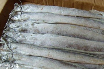 帶魚(yú)能養(yǎng)殖嗎 一般情況下不能 帶魚(yú)能養(yǎng)殖嗎 一般情況下不能