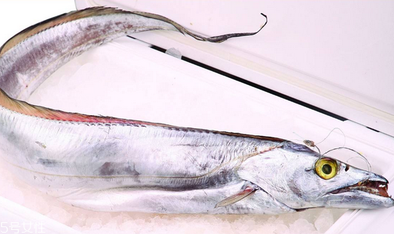 帶魚吃了會上火嗎 吃多了才上火 帶魚吃了會上火嗎 吃多了才上火