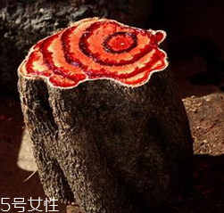 雞血藤是什么顏色 形同雞血色 雞血藤是什么顏色 形同雞血色