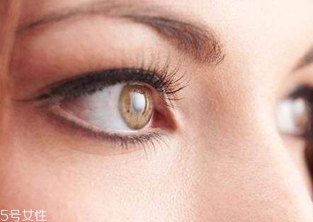 美瞳能用多久 看美瞳分類 美瞳能用多久 看美瞳分類