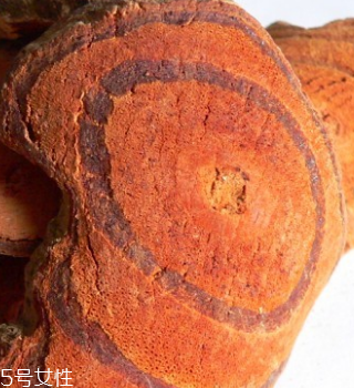 雞血藤和紫藤有什么關(guān)系 沒有關(guān)系 雞血藤和紫藤有什么關(guān)系 沒有關(guān)系