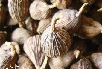 草果是不是檳榔 草果不是檳榔 草果是不是檳榔 草果不是檳榔