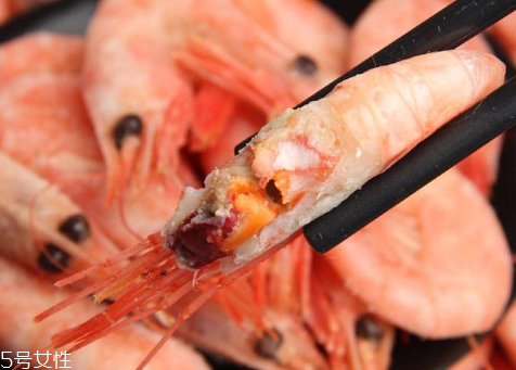 北極蝦是海鮮嗎 北極蝦是深海蝦 北極蝦是海鮮嗎 北極蝦是深海蝦