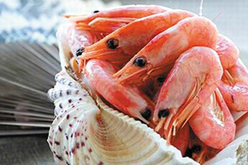 北極蝦的食用禁忌 不能食用過量 北極蝦的食用禁忌 不能食用過量