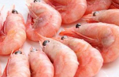 北極蝦的食用禁忌 不能食用過量 北極蝦的食用禁忌 不能食用過量