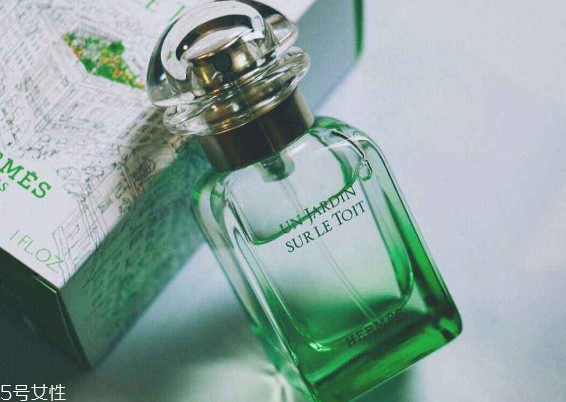 青香型香水適合什么年齡 沉穩(wěn)與活力兼具 青香型香水適合什么年齡 沉穩(wěn)與活力兼具