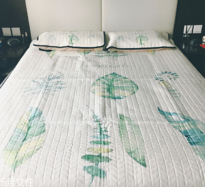 涼席可以用吹風(fēng)機(jī)吹嗎 要受熱均勻 涼席可以用吹風(fēng)機(jī)吹嗎 要受熱均勻