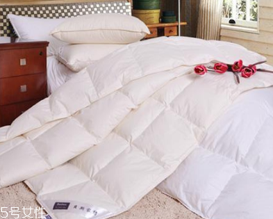 羽絨被可以水洗嗎 不用經(jīng)常洗 羽絨被可以水洗嗎 不用經(jīng)常洗