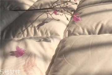羽絨被會(huì)生螨蟲(chóng)嗎 要經(jīng)常晾曬 羽絨被會(huì)生螨蟲(chóng)嗎 要經(jīng)常晾曬