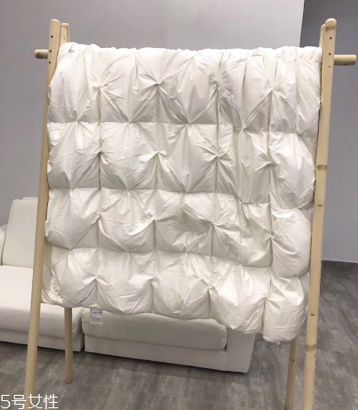 羽絨被鴨絨好還是鵝絨好 填充物大對比 羽絨被鴨絨好還是鵝絨好 填充物大對比