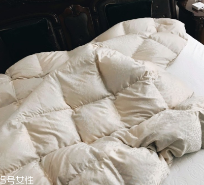 羽絨被有霉味怎么去除 霉味去除小妙招 羽絨被有霉味怎么去除 霉味去除小妙招