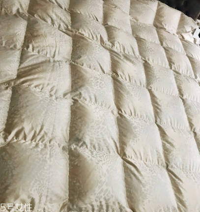 羽絨被有霉味怎么去除 霉味去除小妙招 羽絨被有霉味怎么去除 霉味去除小妙招