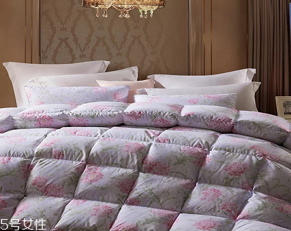 羽絨被對(duì)身體有害嗎 選擇大品牌 羽絨被對(duì)身體有害嗎 選擇大品牌