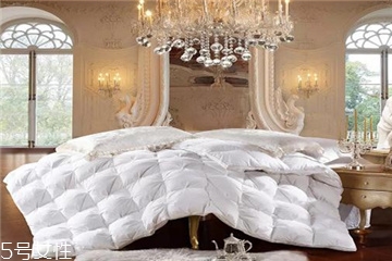 羽絨被對(duì)身體有害嗎 選擇大品牌 羽絨被對(duì)身體有害嗎 選擇大品牌