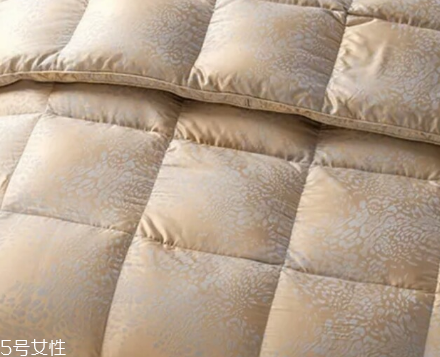 羽絨被芯臟了怎么洗 不同材質(zhì)清洗方法不同 羽絨被芯臟了怎么洗 不同材質(zhì)清洗方法不同