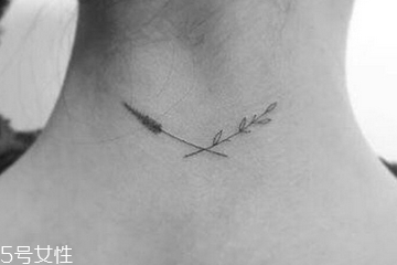 紋身能拔罐嗎 這是禁止的 紋身能拔罐嗎 這是禁止的