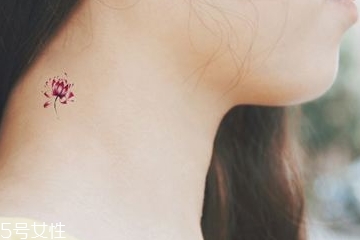 紋身和刺青的區(qū)別 兩者的淵源 紋身和刺青的區(qū)別 兩者的淵源