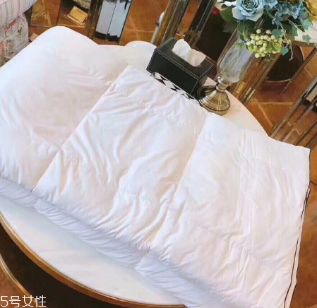 羽絨被漏羽毛怎么辦 給你幾條小建議 羽絨被漏羽毛怎么辦 給你幾條小建議