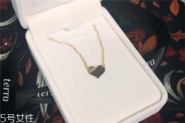 terra項(xiàng)鏈多少錢 夏季凹造型必備神器 terra項(xiàng)鏈多少錢 夏季凹造型必備神器