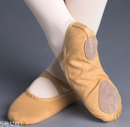 舞蹈鞋怎么洗 盡量不要機(jī)洗 舞蹈鞋怎么洗 盡量不要機(jī)洗