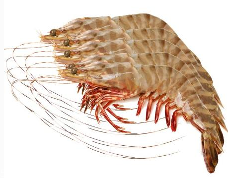 基圍蝦放冰箱怎么保鮮 這樣保存才足夠新鮮 基圍蝦放冰箱怎么保鮮 這樣保存才足夠新鮮