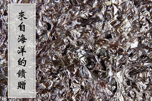 紫菜為什么咬不動 可能是泡紫菜的水溫不夠 紫菜為什么咬不動 可能是泡紫菜的水溫不夠