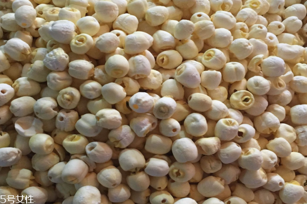 蓮子是果實(shí)還是種子 兩者皆是 蓮子是果實(shí)還是種子 兩者皆是