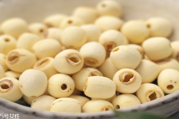 蓮子是果實(shí)還是種子 兩者皆是 蓮子是果實(shí)還是種子 兩者皆是