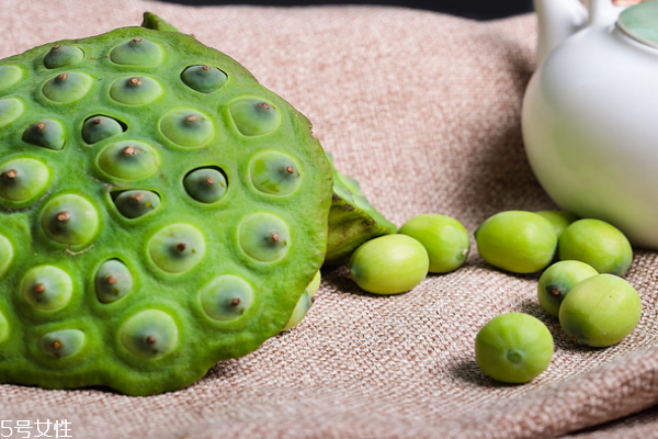 蓮子是果實(shí)還是種子 兩者皆是 蓮子是果實(shí)還是種子 兩者皆是