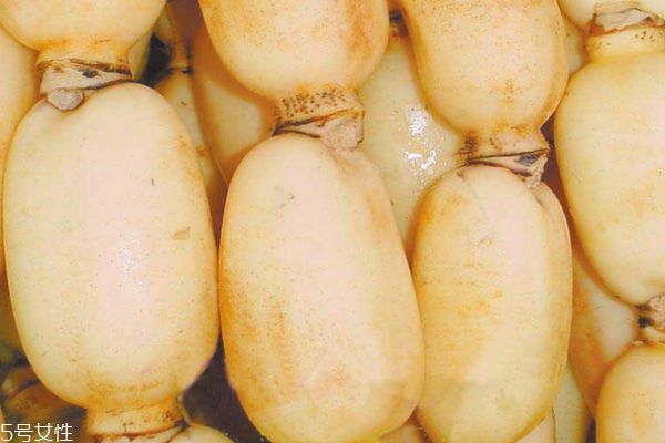 蓮藕為什么會(huì)有絲 蓮藕的特性 蓮藕為什么會(huì)有絲 蓮藕的特性