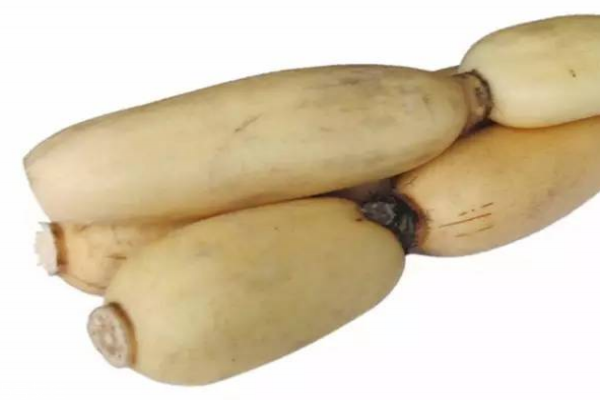 蓮藕為什么會(huì)有絲 蓮藕的特性 蓮藕為什么會(huì)有絲 蓮藕的特性