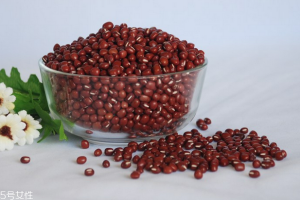 紅豆有幾種 大致分為三種 紅豆有幾種 大致分為三種