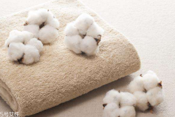 有機(jī)棉是什么棉 更加天然健康 有機(jī)棉是什么棉 更加天然健康