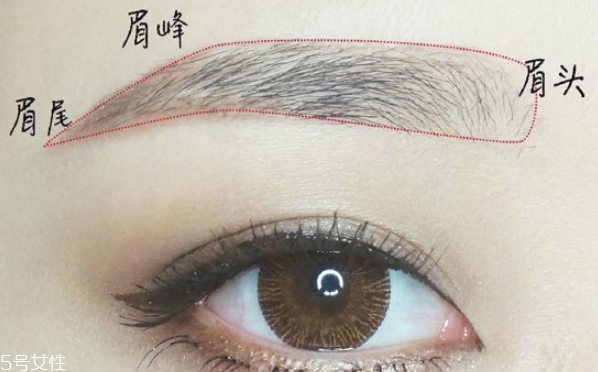 扁頭的眉筆是什么樣的 扁頭的眉筆是三角的嗎 扁頭的眉筆是什么樣的 扁頭的眉筆是三角的嗎