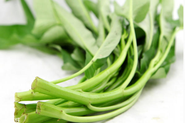 空心菜吃多了會怎樣 兩個壞處 空心菜吃多了會怎樣 兩個壞處