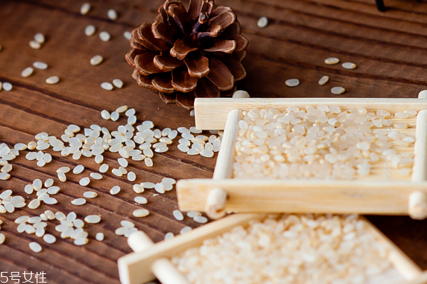 大米會(huì)長(zhǎng)什么蟲 它叫米象蟲 大米會(huì)長(zhǎng)什么蟲 它叫米象蟲