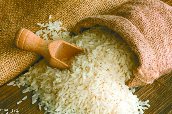 大米會(huì)長(zhǎng)什么蟲 它叫米象蟲 大米會(huì)長(zhǎng)什么蟲 它叫米象蟲