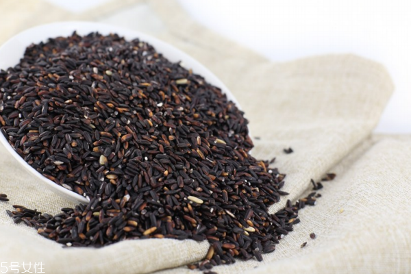 黑米是發(fā)物嗎 不屬于發(fā)物 黑米是發(fā)物嗎 不屬于發(fā)物