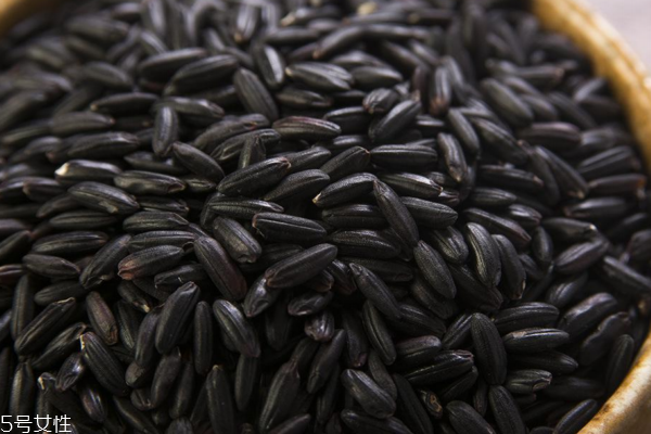 黑米是發(fā)物嗎 不屬于發(fā)物 黑米是發(fā)物嗎 不屬于發(fā)物